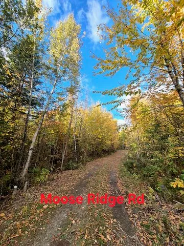 $59,900 | Lot 2 Morrison Brook, Unit ACRES, Oakfield, ME 04763