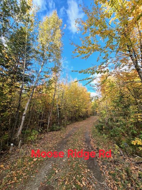 Lot 2 Morrison Brook, Unit ACRES Oakfield, ME 04763 - Photo 15 of 24 5403332379356336128