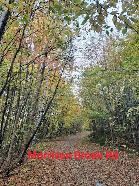 Lot 2 Morrison Brook, Unit ACRES Oakfield, ME 04763 - Photo 16 of 24 960359408685922688