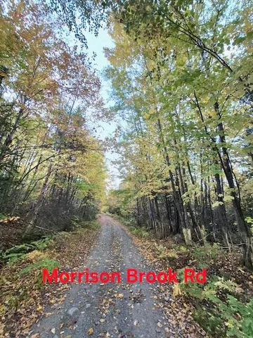 $59,900 | Lot 2 Morrison Brook, Unit ACRES, Oakfield, ME 04763