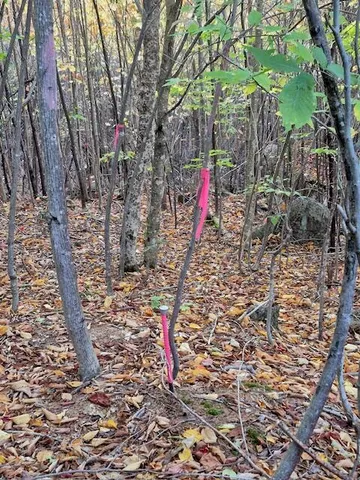 $59,900 | Lot 2 Morrison Brook, Unit ACRES, Oakfield, ME 04763