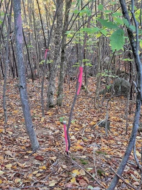 Lot 2 Morrison Brook, Unit ACRES Oakfield, ME 04763 - Photo 20 of 24 4754190273179118575