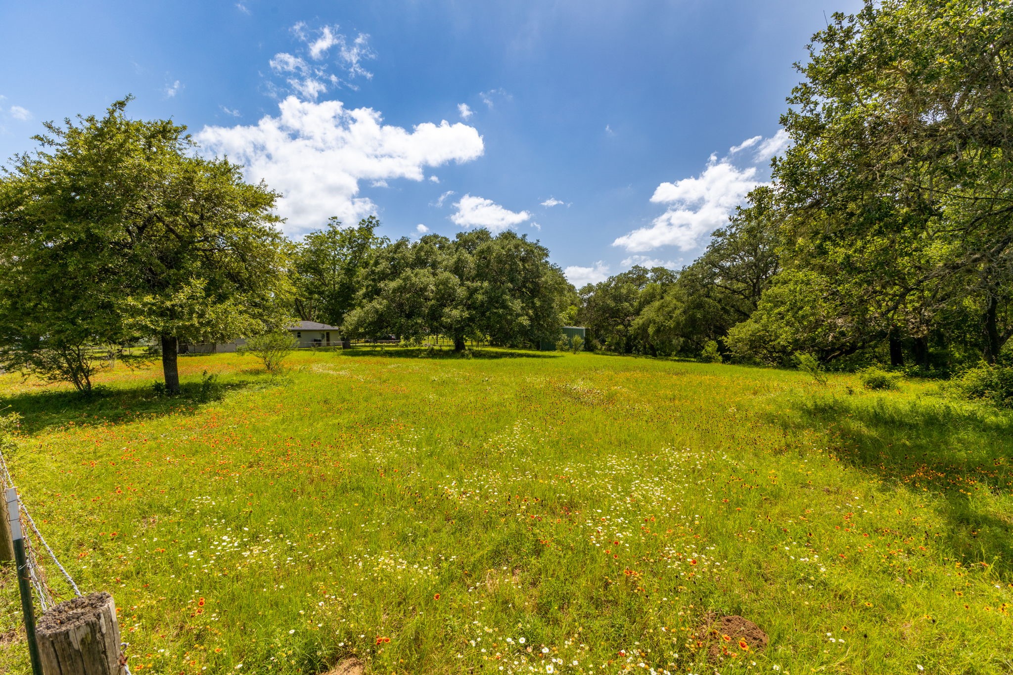 3505 Brunes Mill Road Columbus, TX 78934 - Photo 48 of 49