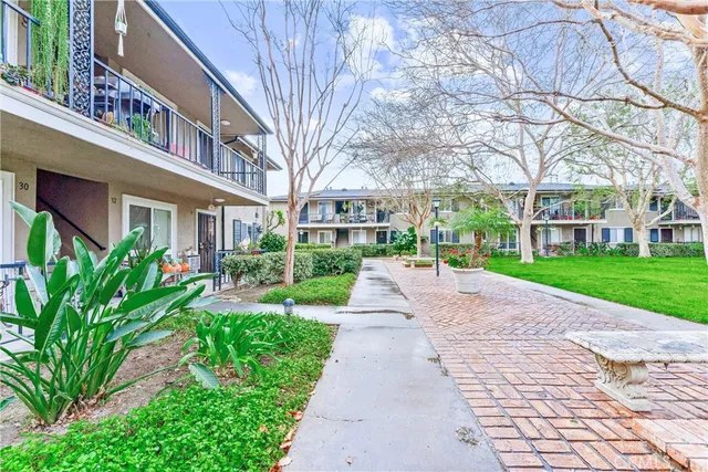 a view of a park with plants and trees