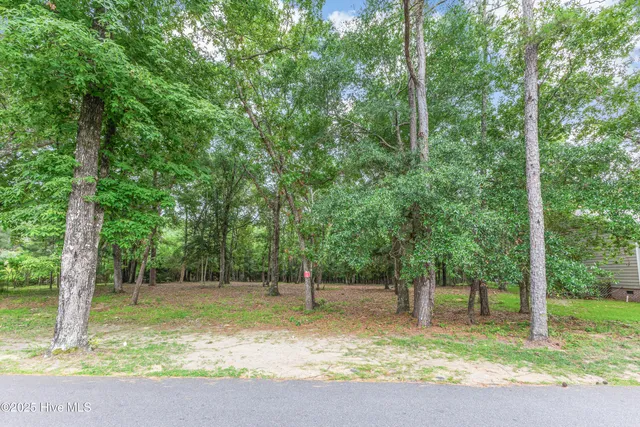 $48,900 | 3197 Marsh View Drive, Supply, NC 28462