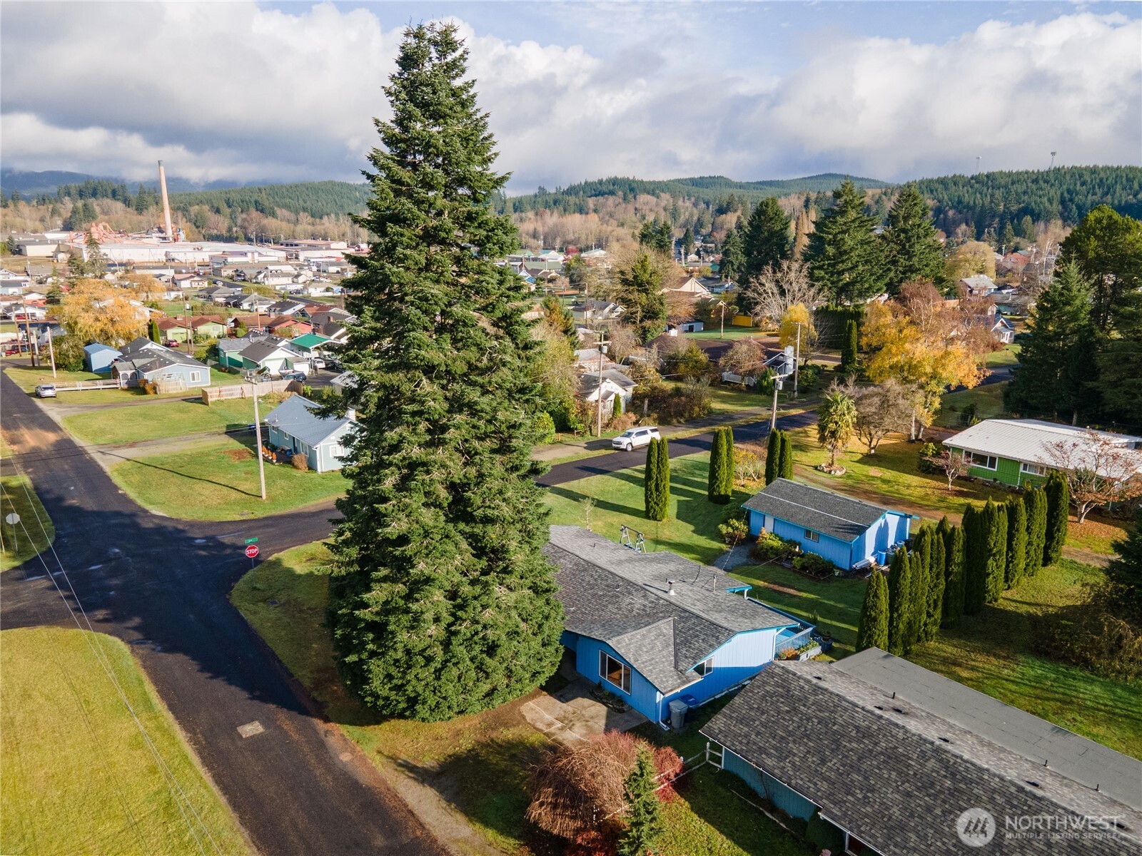 504 South 6th Street McCleary, WA 98557 - Photo 39 of 40 an aerial view of a house with a garden and lake view