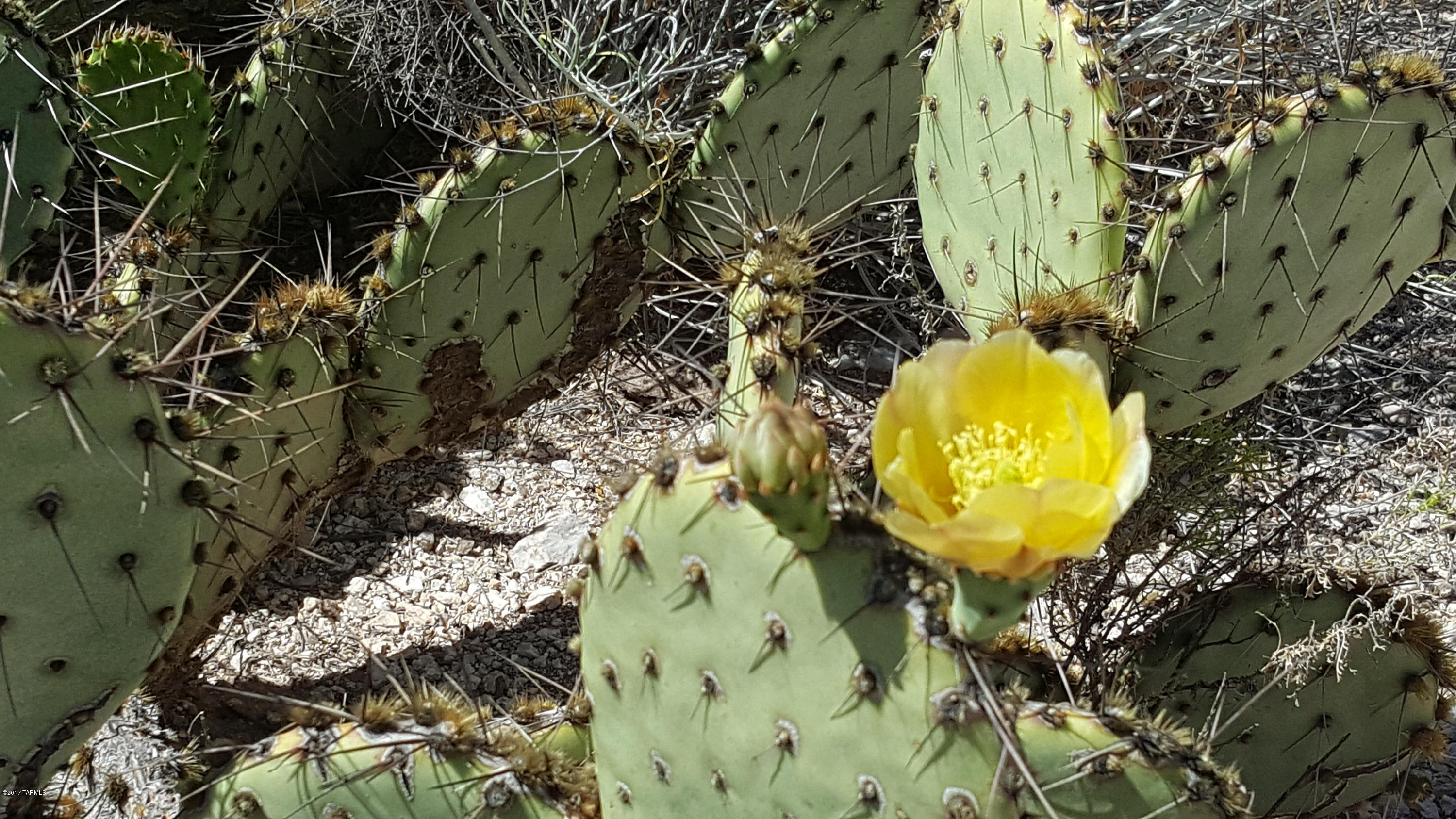 12150 East Prince Road, Unit A Tucson, AZ 85749 - Photo 18 of 20 Gallery Image 18