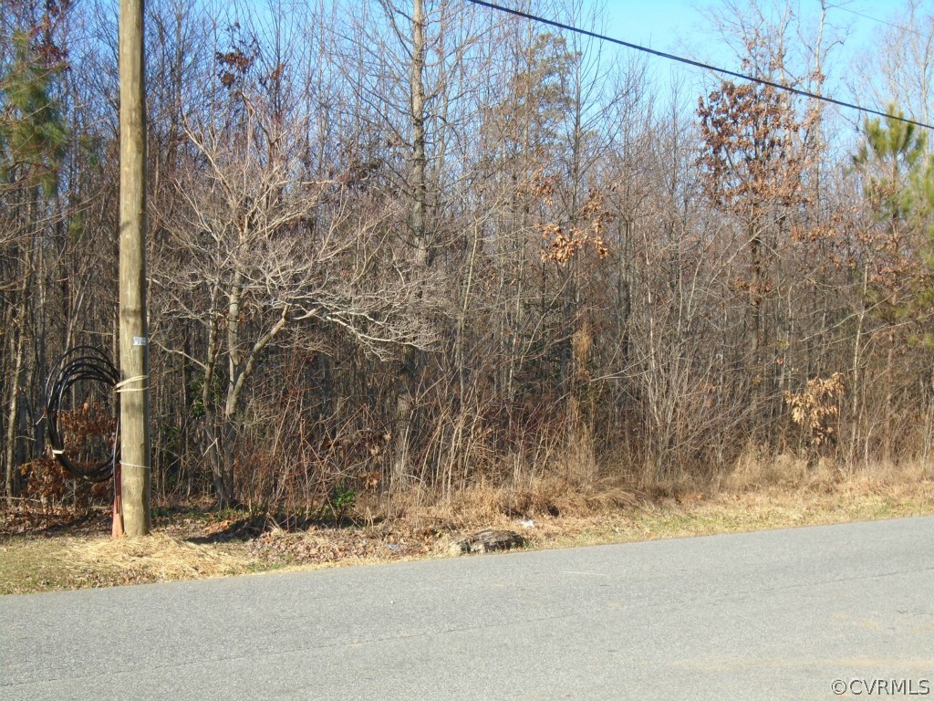 a view of a yard with a tree