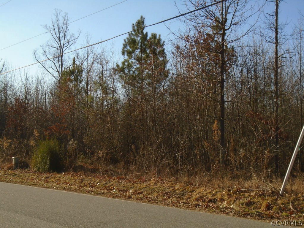 4655 Treely Road Chester, VA 23831 - Photo 3 of 3 a view of a yard