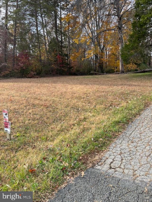 7032 Token Valley Road Manassas, VA 20112 - Photo 20 of 25 a view of a yard with a trees