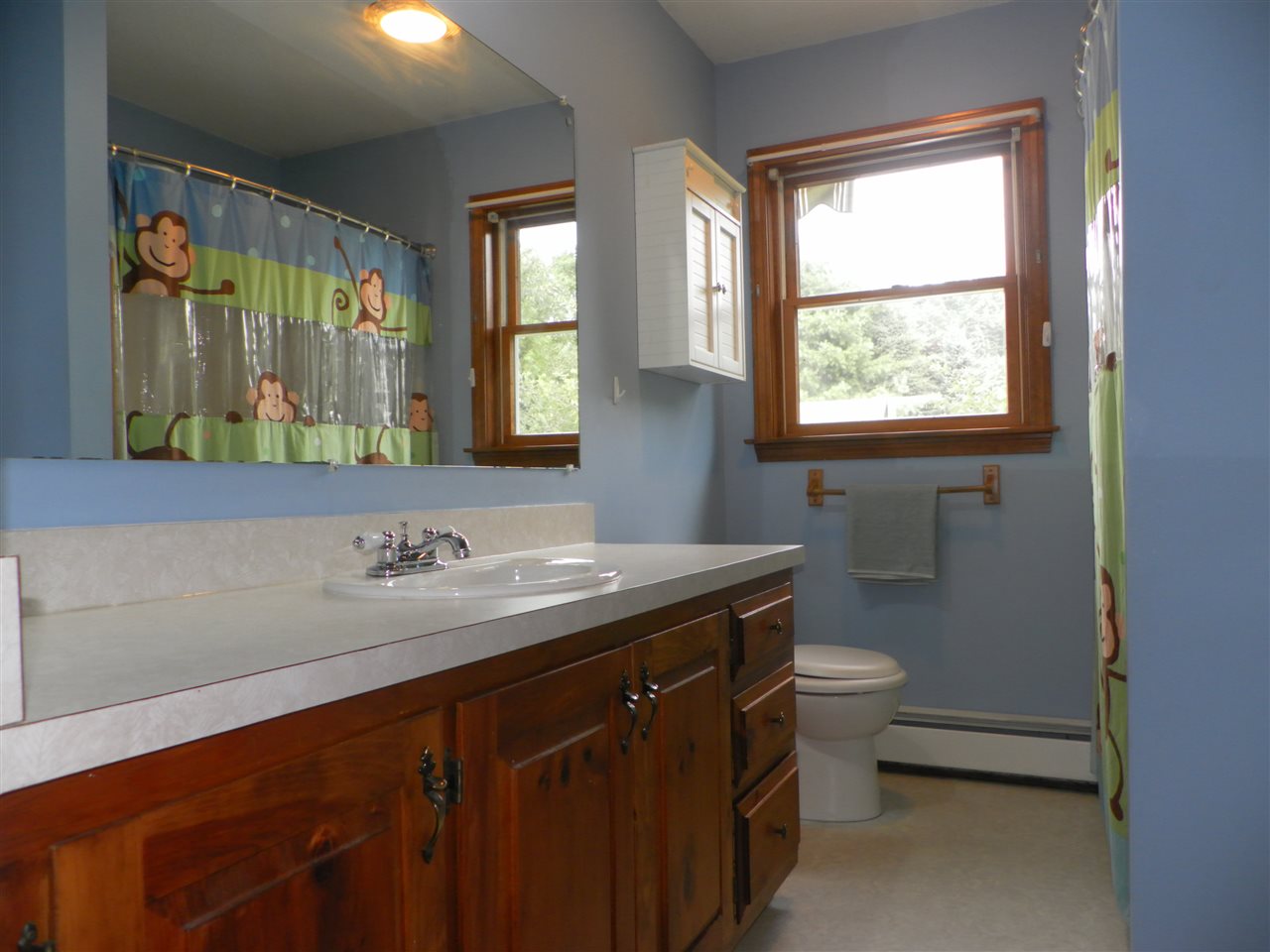 25 Dearborn Circle Walpole, NH 03608 - Photo 12 of 22