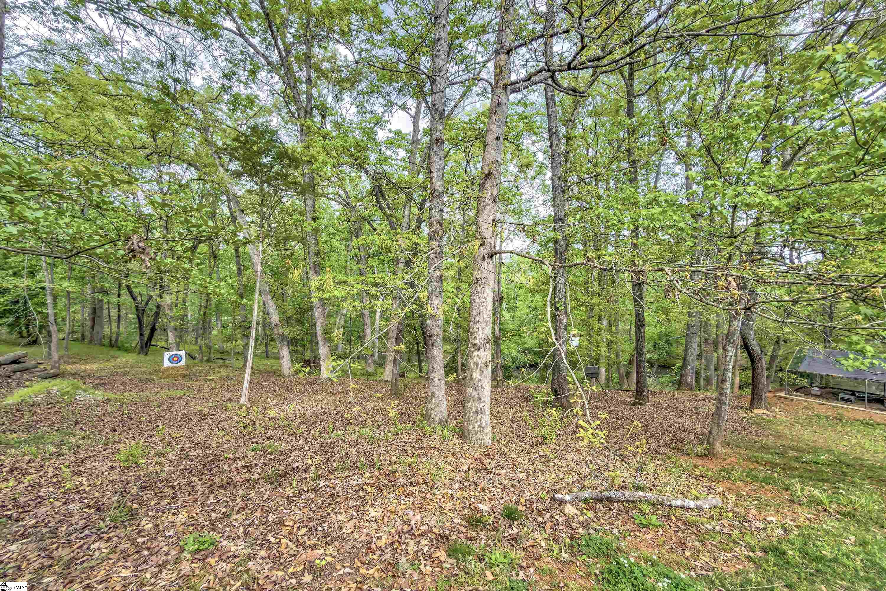 141 Greybridge Road Pelzer, SC 29669 - Photo 40 of 50