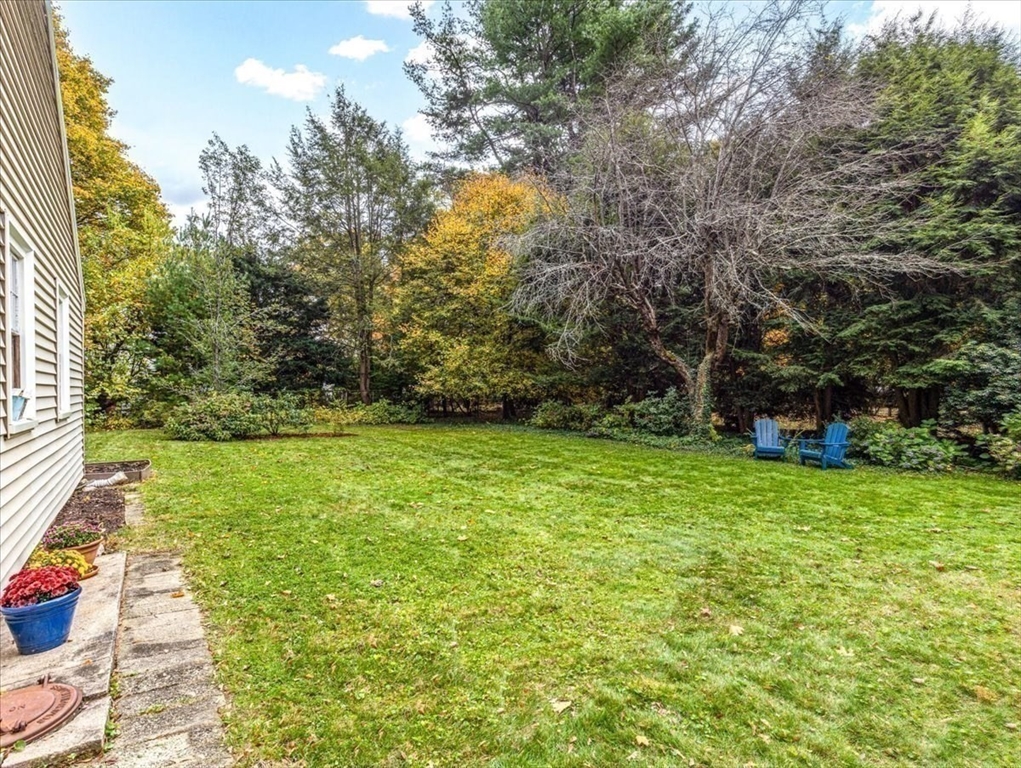 46 Park Street Dedham, MA 02026 - Photo 28 of 35 a view of yard with green space