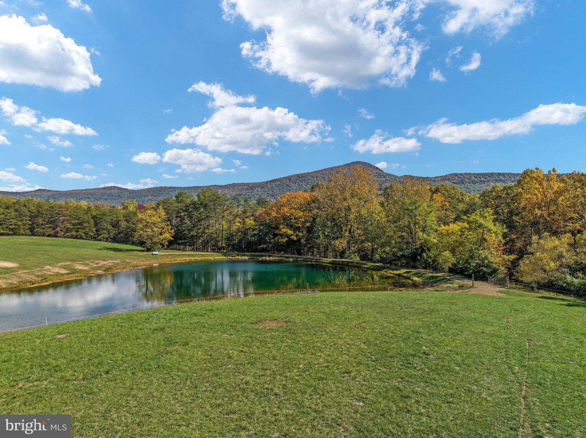 589 South Fort Valley Road Fort Valley, VA 22652 - Photo 36 of 69 Large private pond