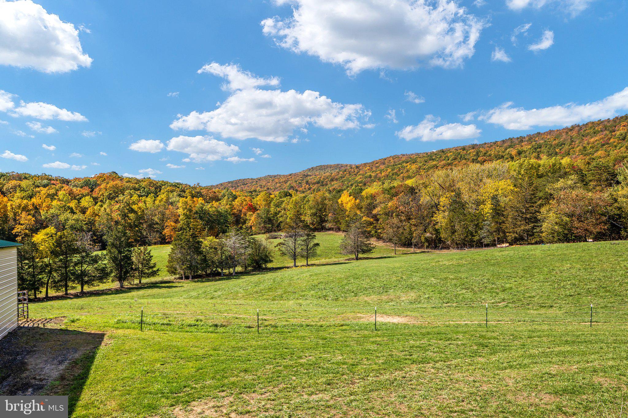 589 South Fort Valley Road Fort Valley, VA 22652 - Photo 39 of 69 Backs to National Forest