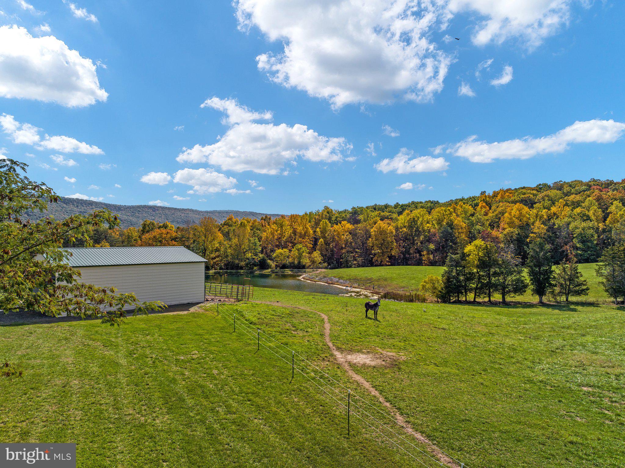 589 South Fort Valley Road Fort Valley, VA 22652 - Photo 41 of 69 40 Acres of rolling terrain!
