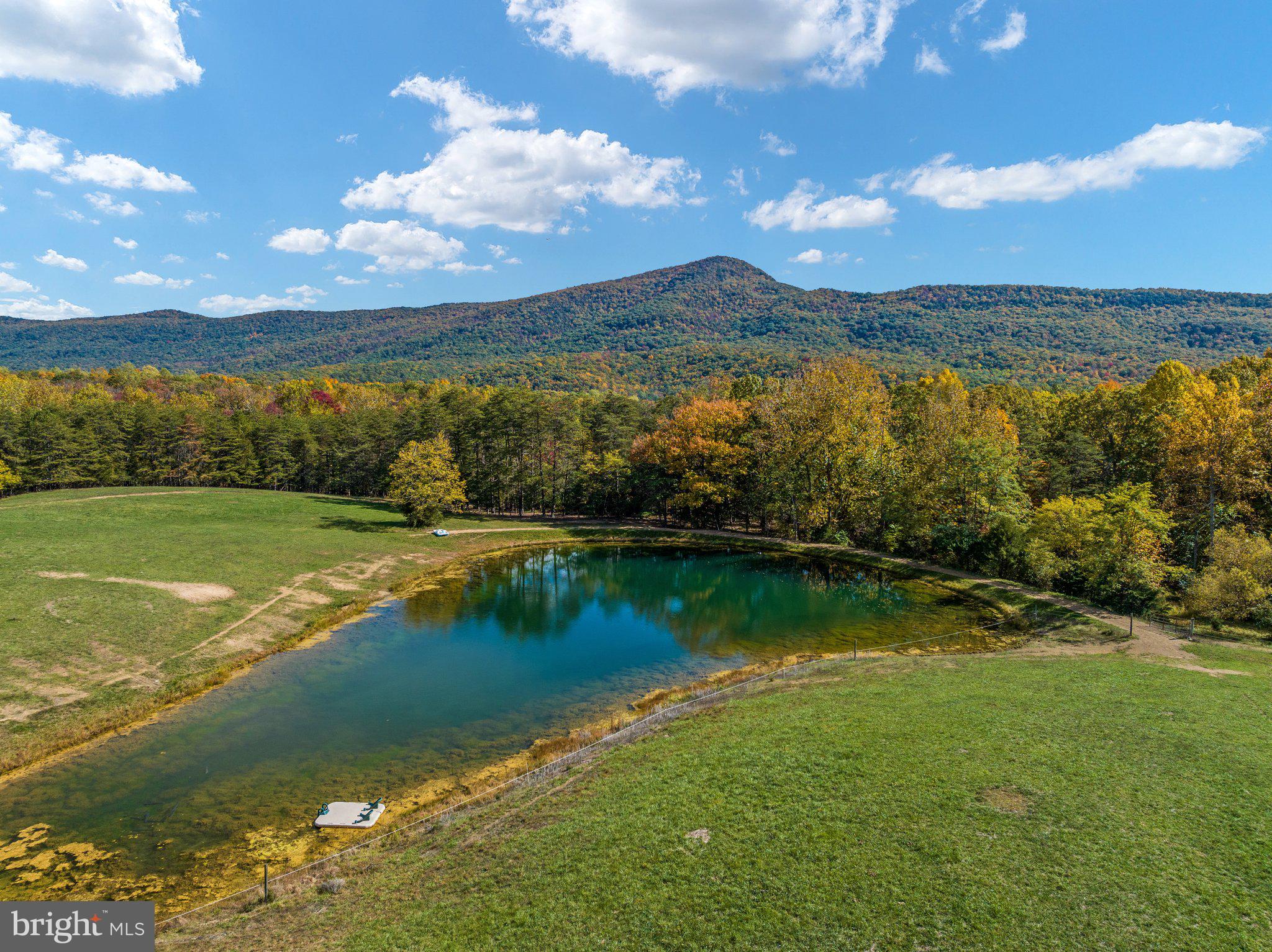 589 South Fort Valley Road Fort Valley, VA 22652 - Photo 50 of 69 Large private pond stocked for fishing!