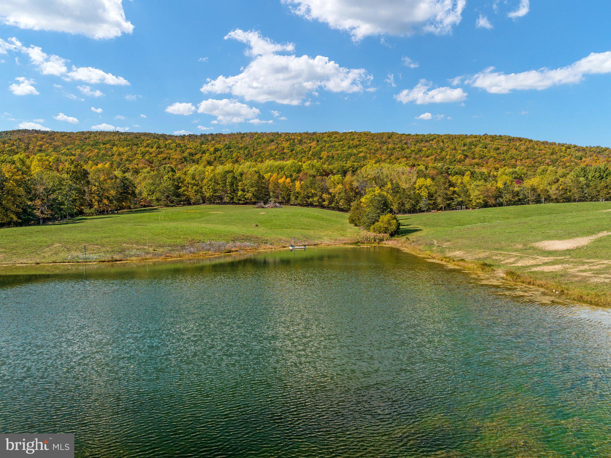 589 South Fort Valley Road Fort Valley, VA 22652 - Photo 62 of 69 Large, stocked private pond
