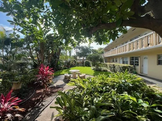 a view of a house with a big yard and large tree