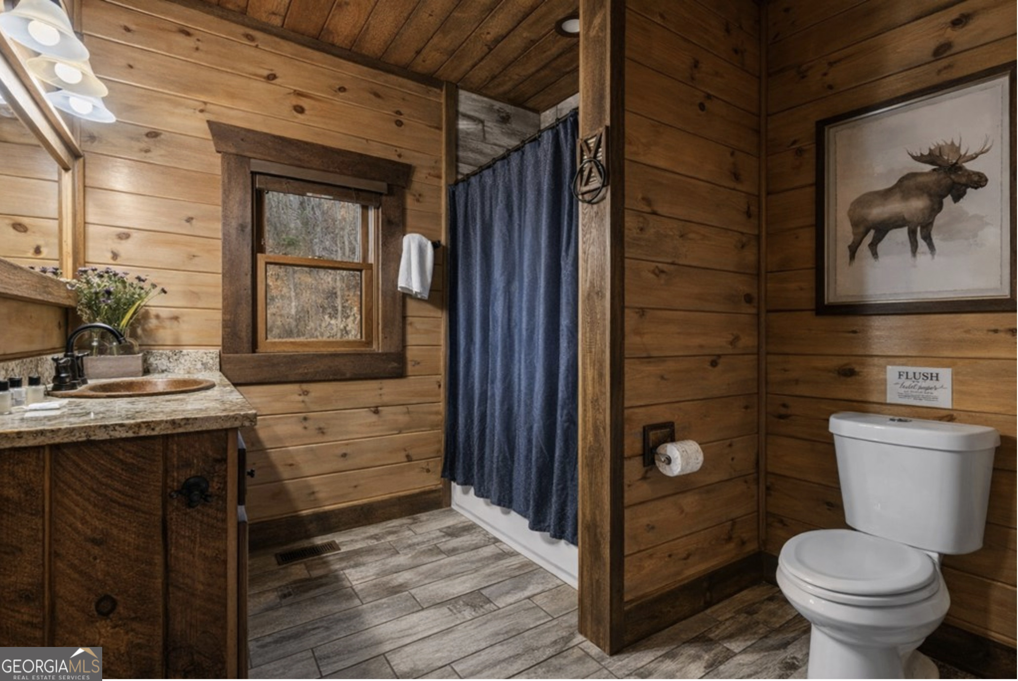 355 West Shalom Blue Ridge Blue Ridge, GA 30513 - Photo 26 of 46