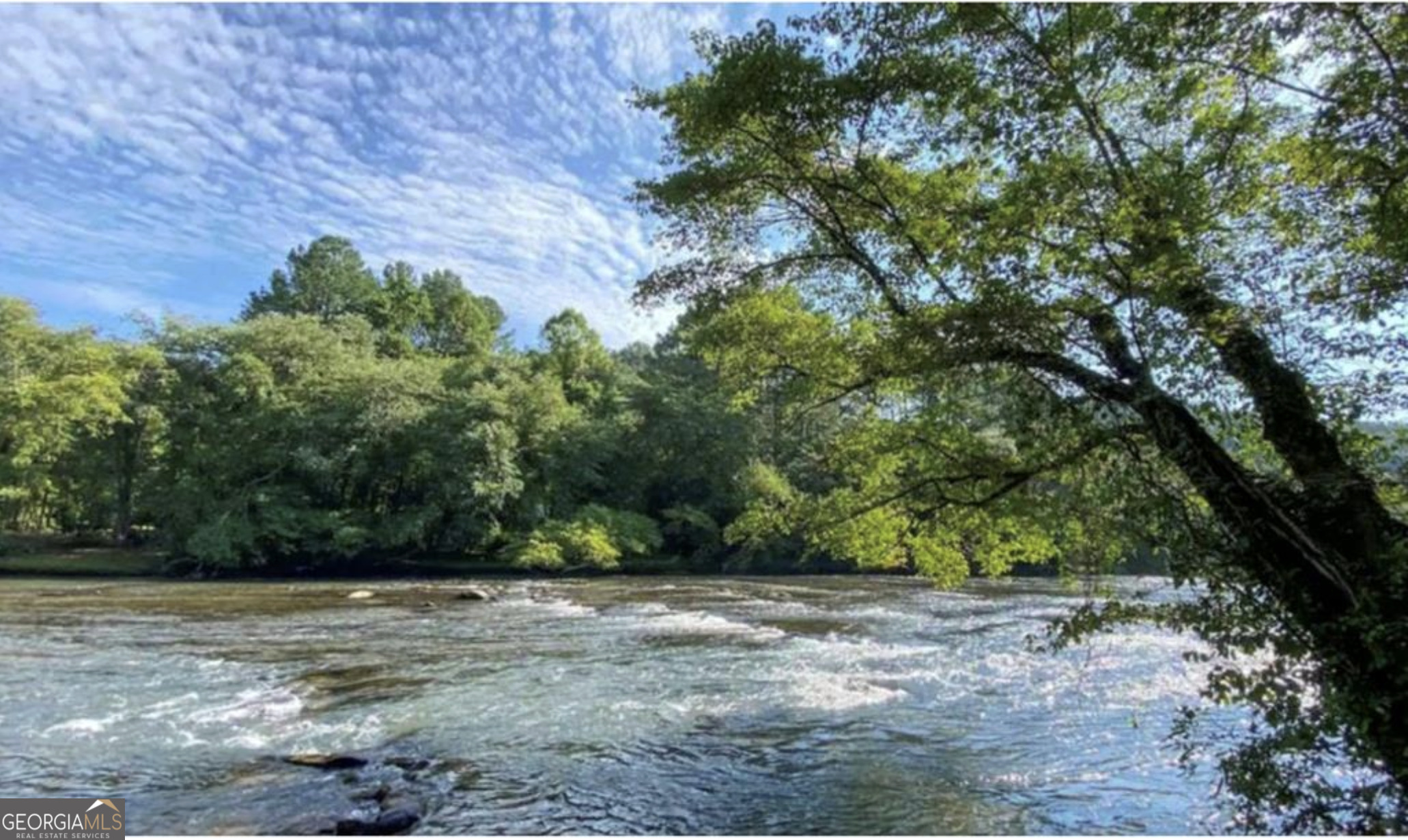 355 West Shalom Blue Ridge Blue Ridge, GA 30513 - Photo 46 of 46