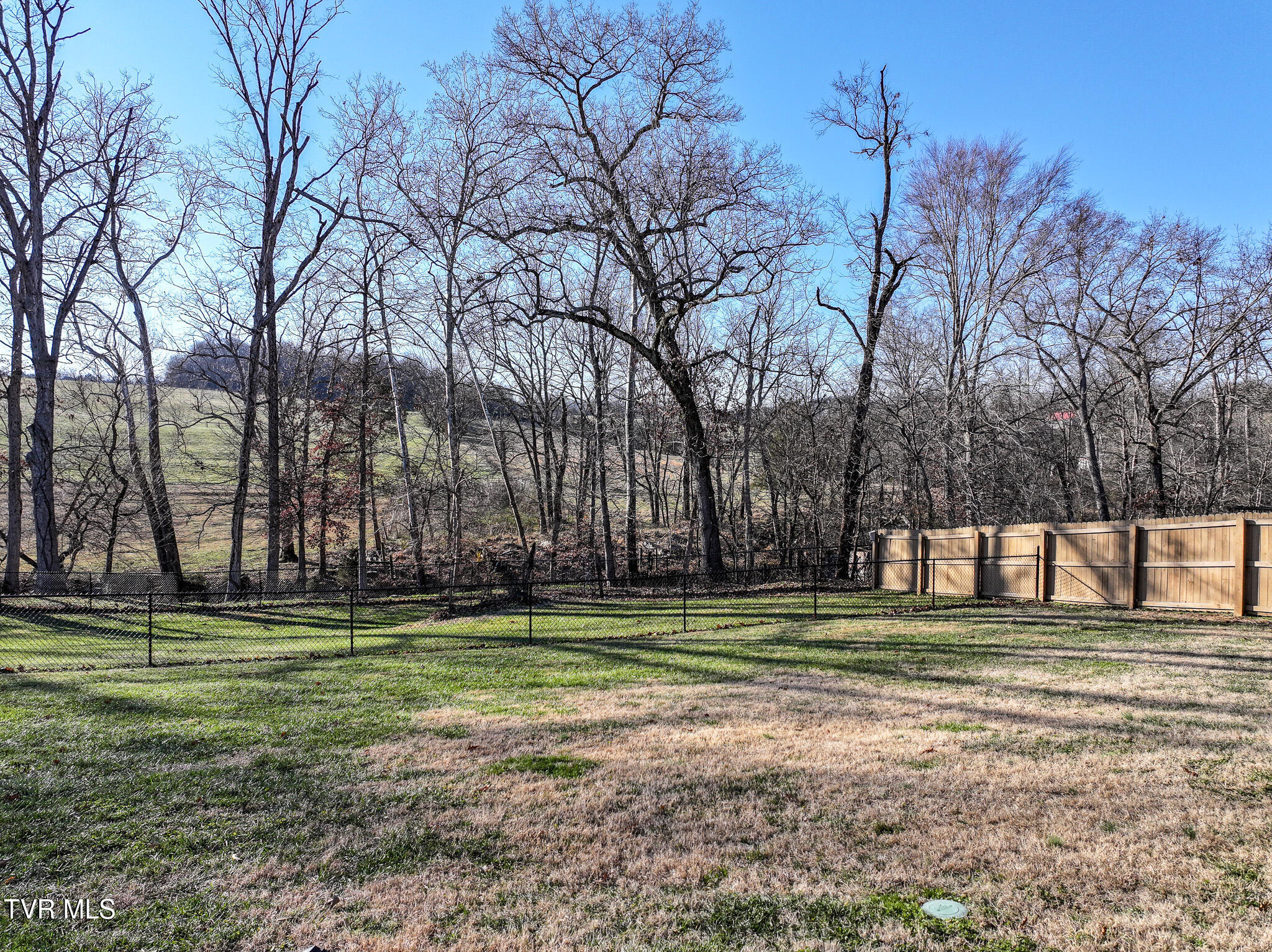 1095 Afton Road Afton, TN 37616 - Photo 44 of 63 DJI_20250110071848_0834_D