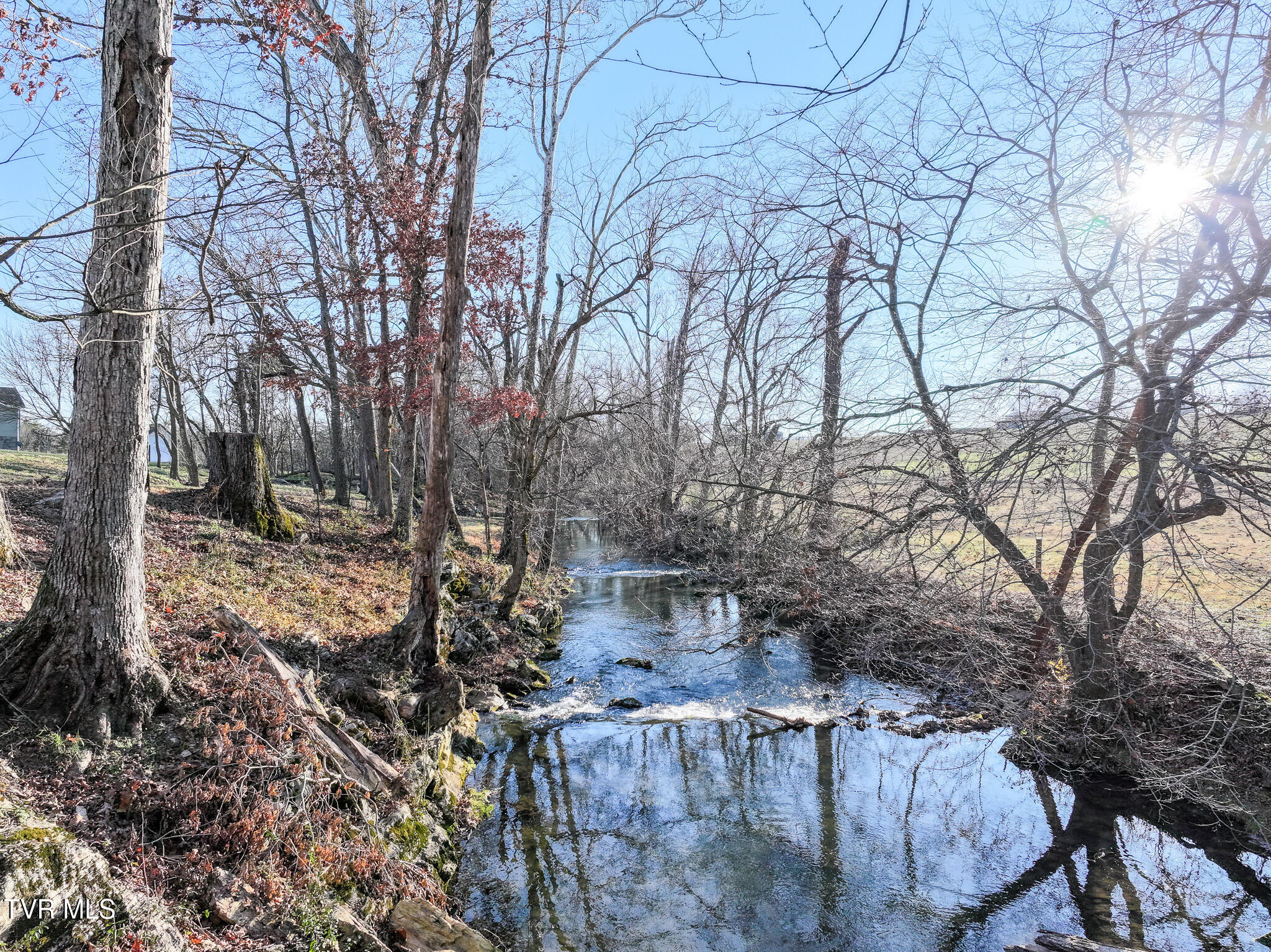 1095 Afton Road Afton, TN 37616 - Photo 50 of 63 DJI_20250110073013_0856_D