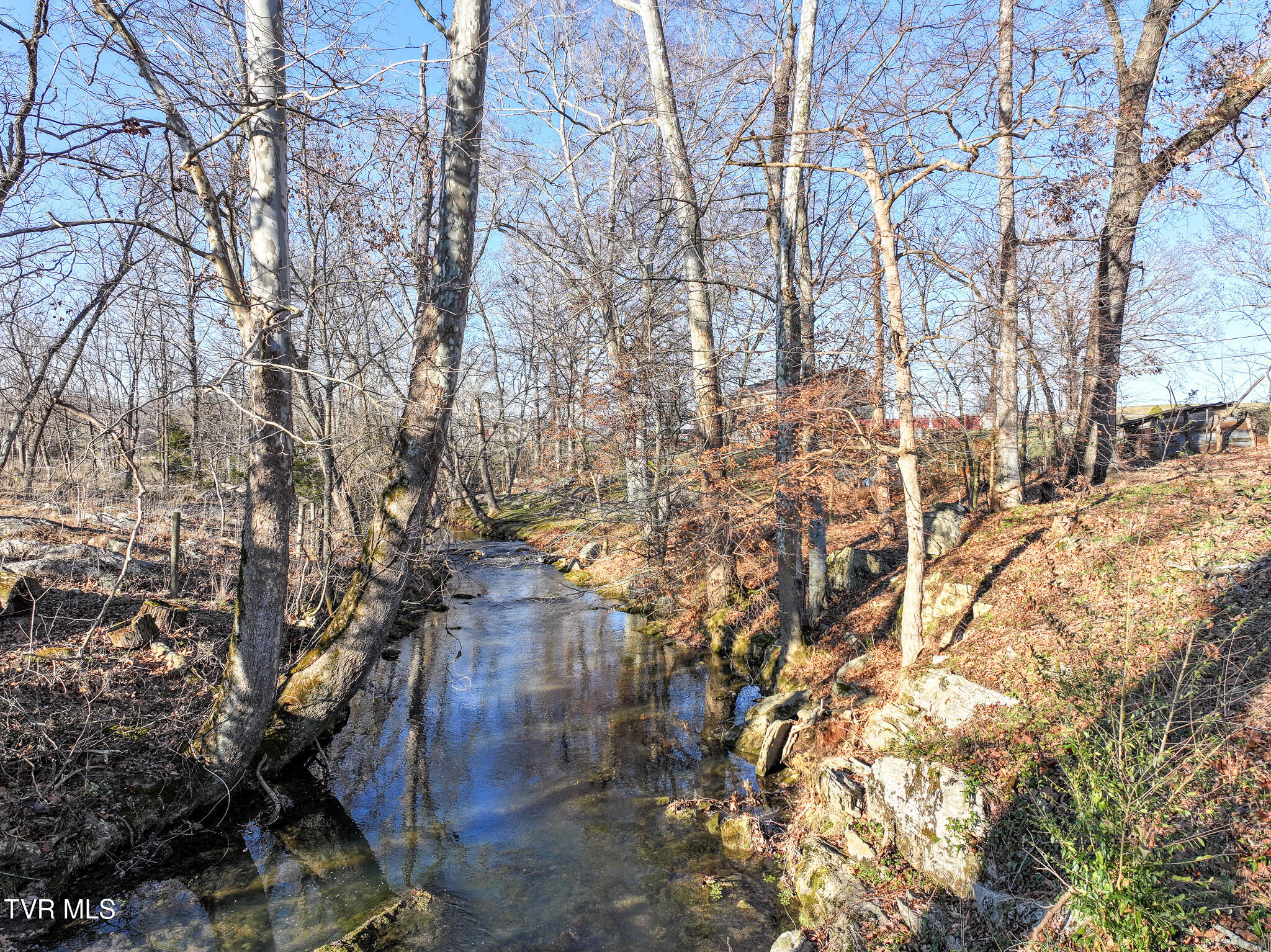 1095 Afton Road Afton, TN 37616 - Photo 51 of 63 DJI_20250110073022_0857_D