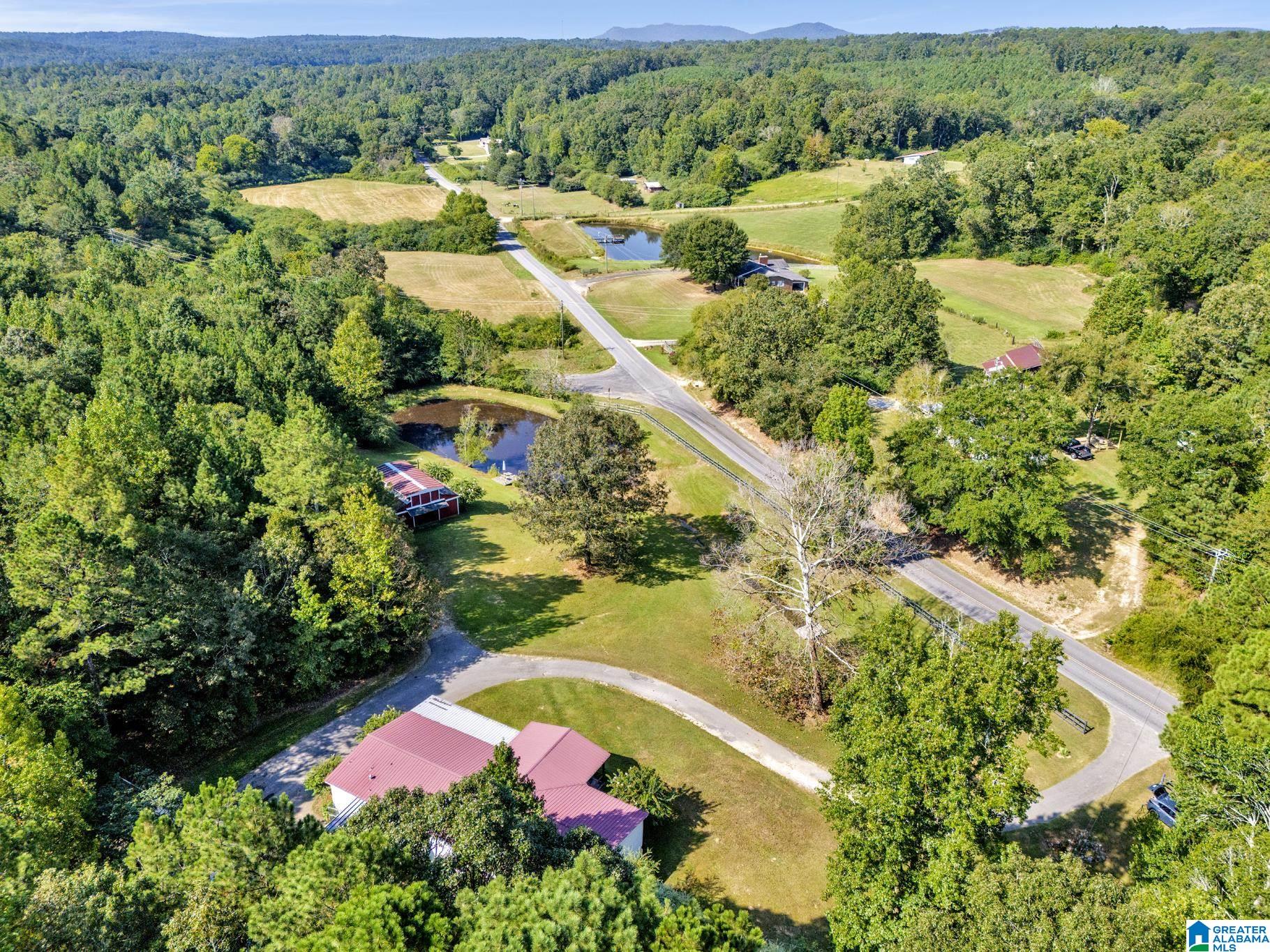 1120 Mt Moriah Road Pell City, AL 35125 - Photo 47 of 49