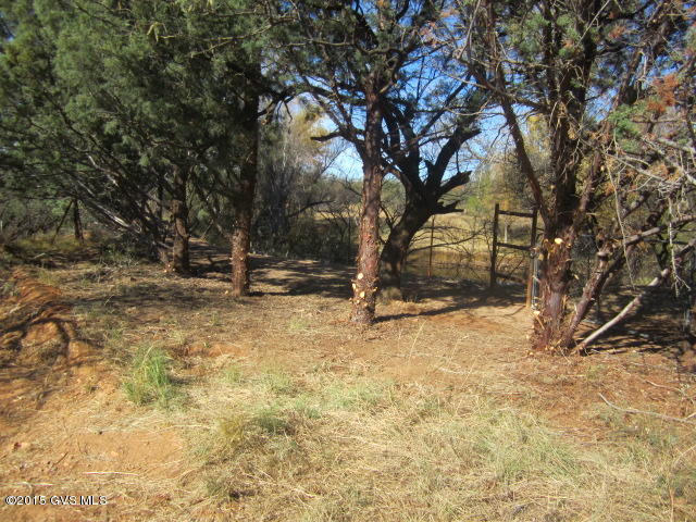 16100 West Hardscrabble Road Arivaca, AZ 85601 - Photo 20 of 23