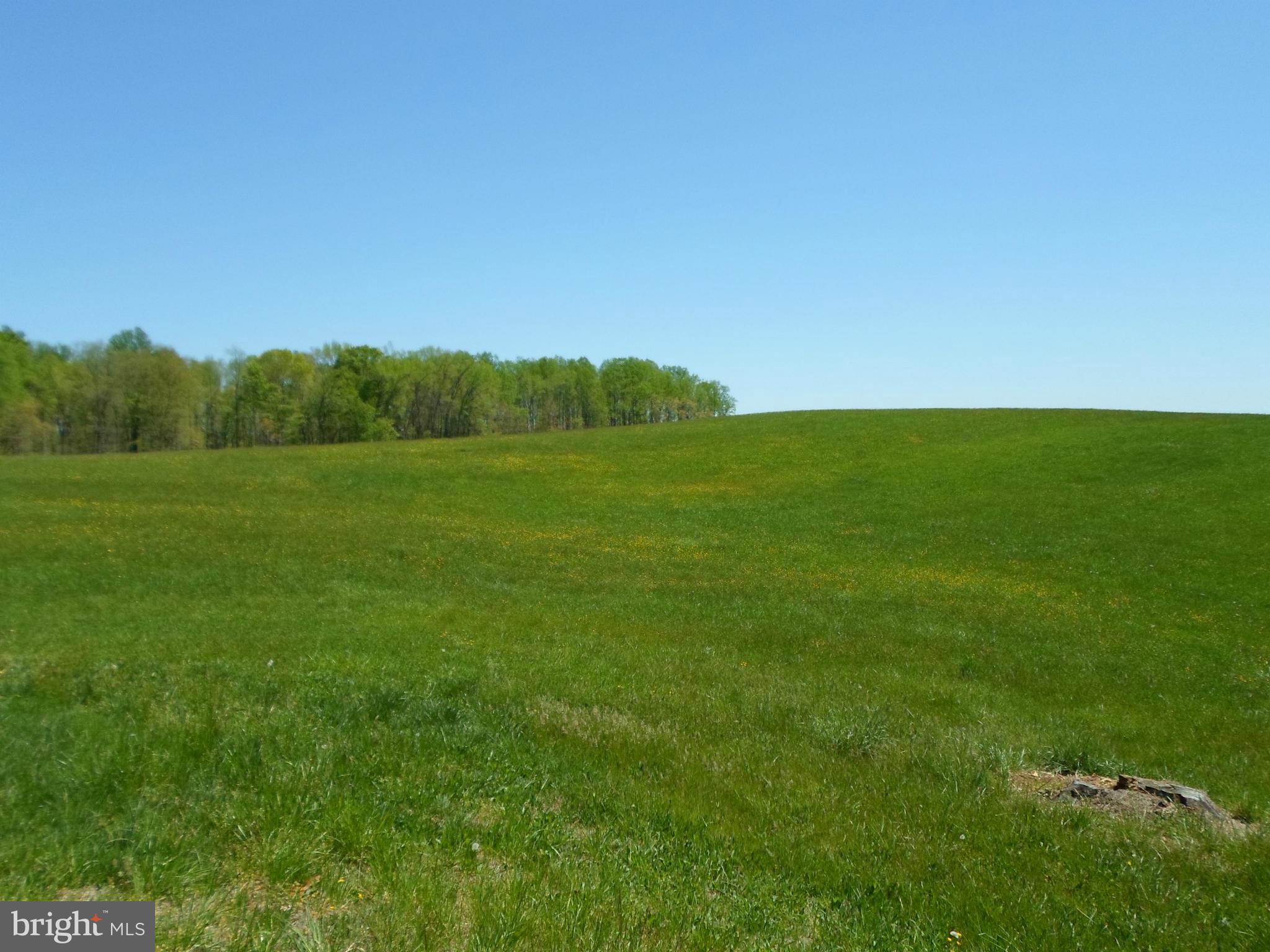 7410 South Osborne Road Upper Marlboro, MD 20772 - Photo 30 of 30 a view of field with grass and a mountain view