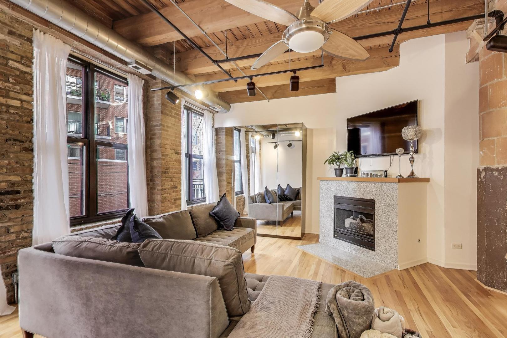 2310 South Canal Street, Unit 210 Chicago, IL 60616 - Photo 9 of 22 a living room with furniture flat screen tv and a fireplace