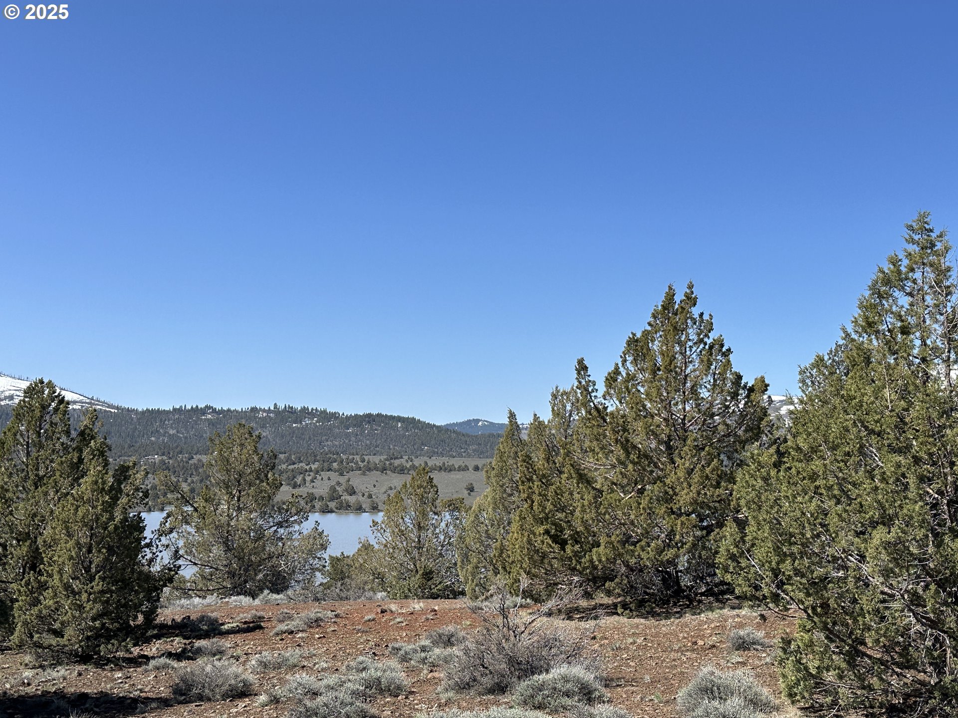 Cyhoya Way Lakeview, OR 97630 - Photo 16 of 36 a view of a dry yard with trees in the background