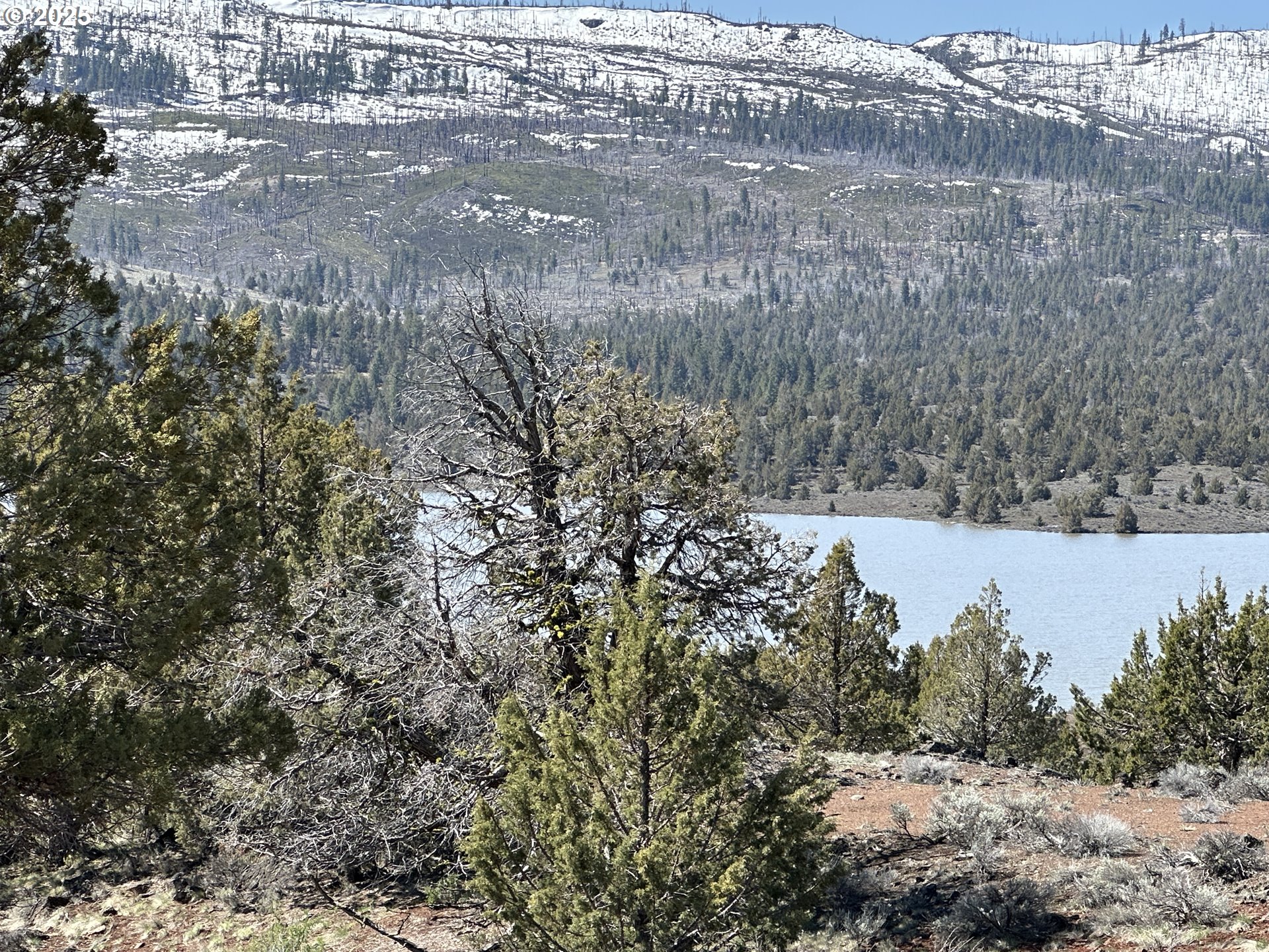 Cyhoya Way Lakeview, OR 97630 - Photo 19 of 36 a view of a yard