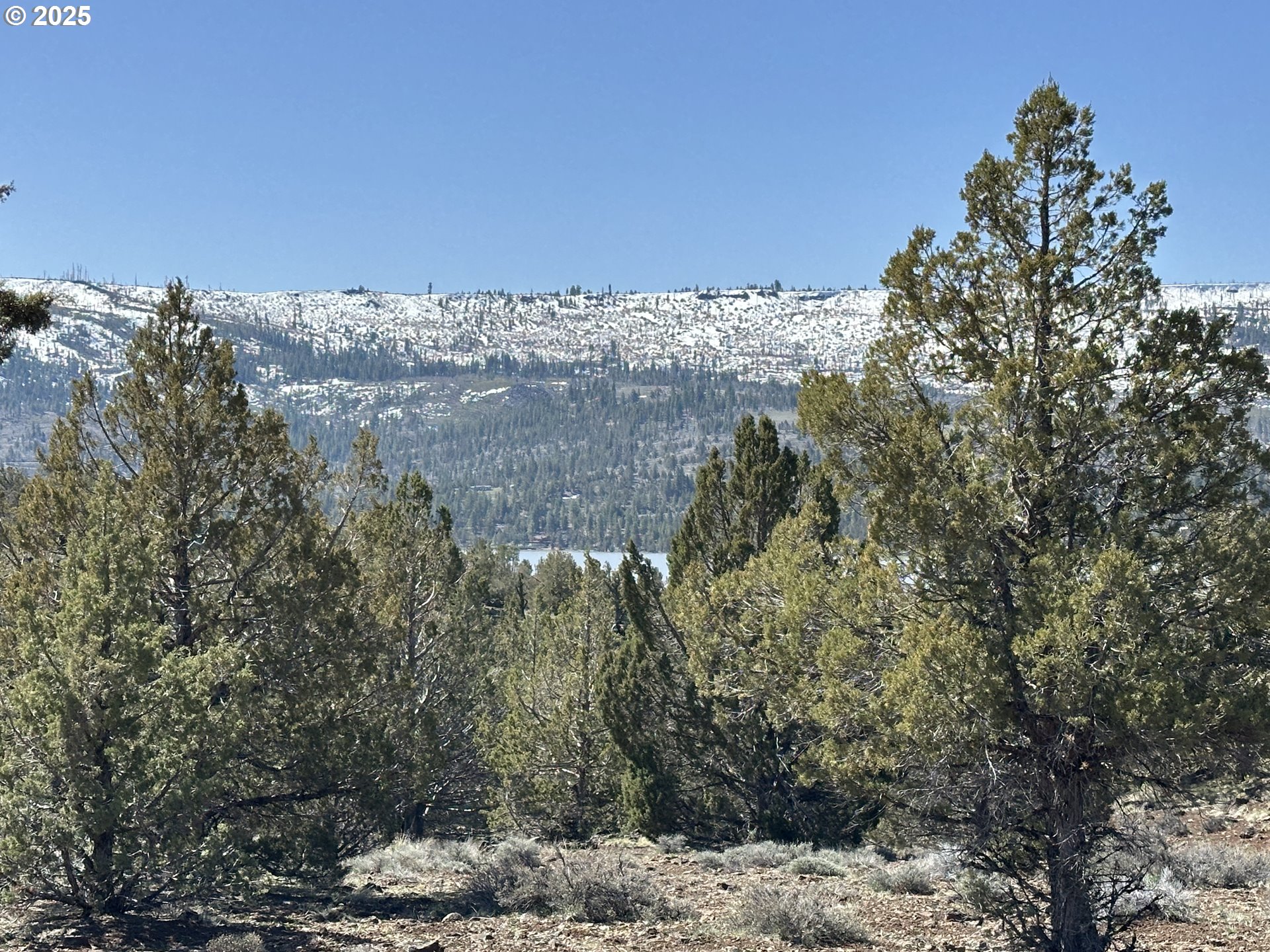 Cyhoya Way Lakeview, OR 97630 - Photo 21 of 36 a view of a dry yard with trees