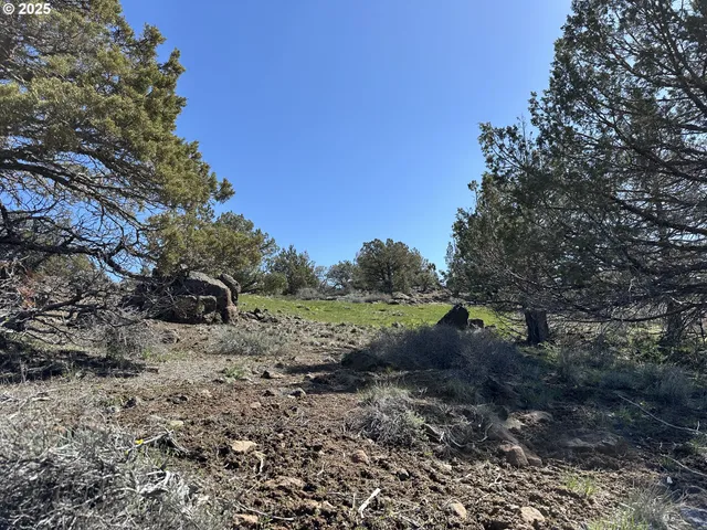 $165,000 | Cyhoya Way, Lakeview, OR 97630