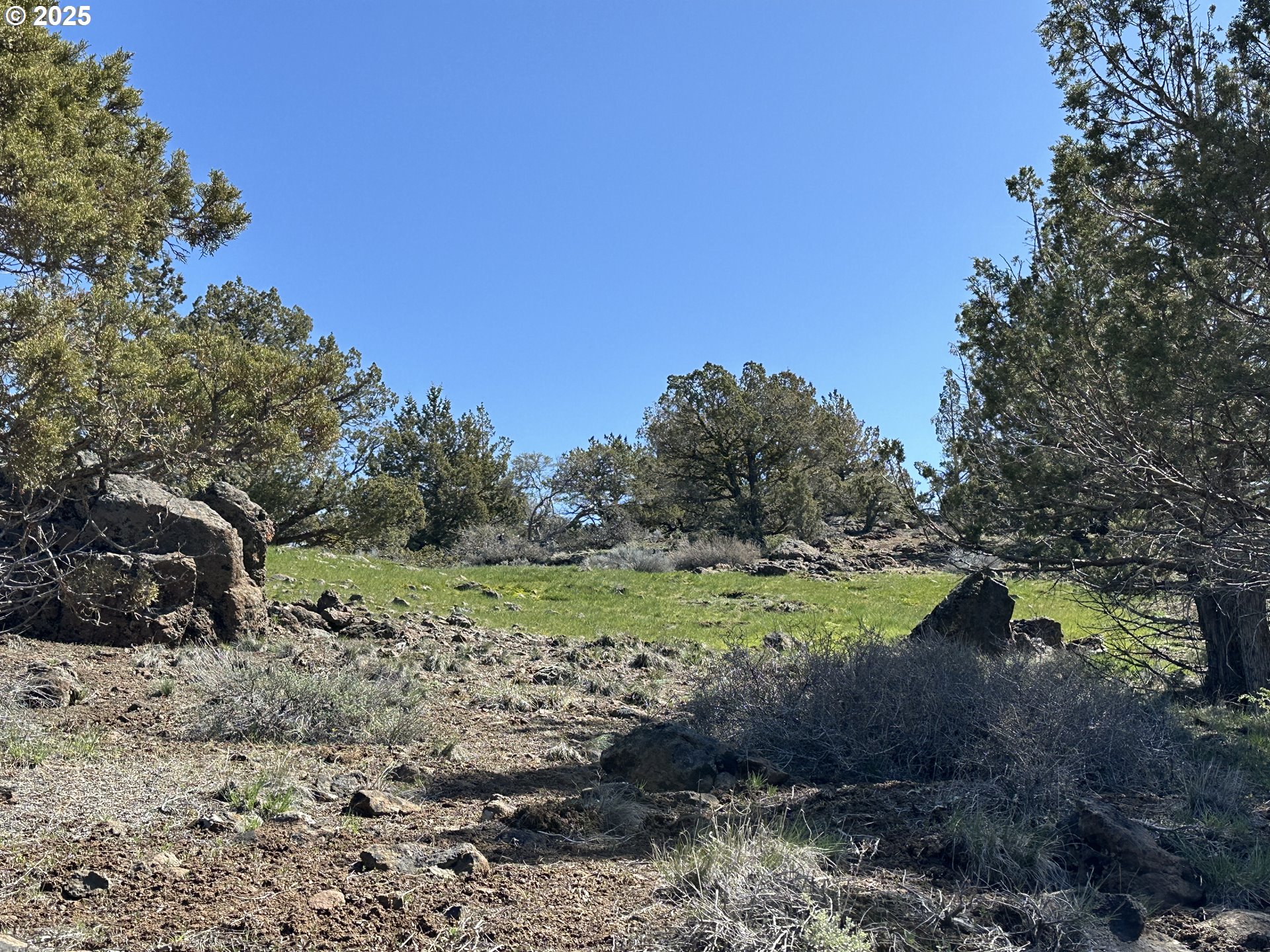 Cyhoya Way Lakeview, OR 97630 - Photo 30 of 36 a view of a yard with a tree