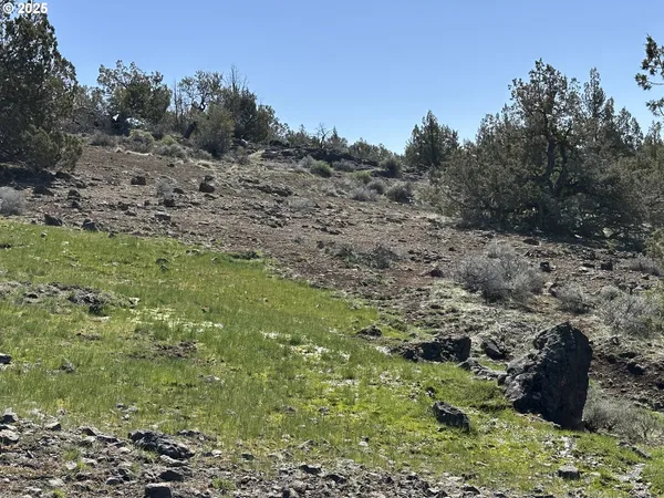 $160,000 | Cyhoya Way, Lakeview, OR 97630