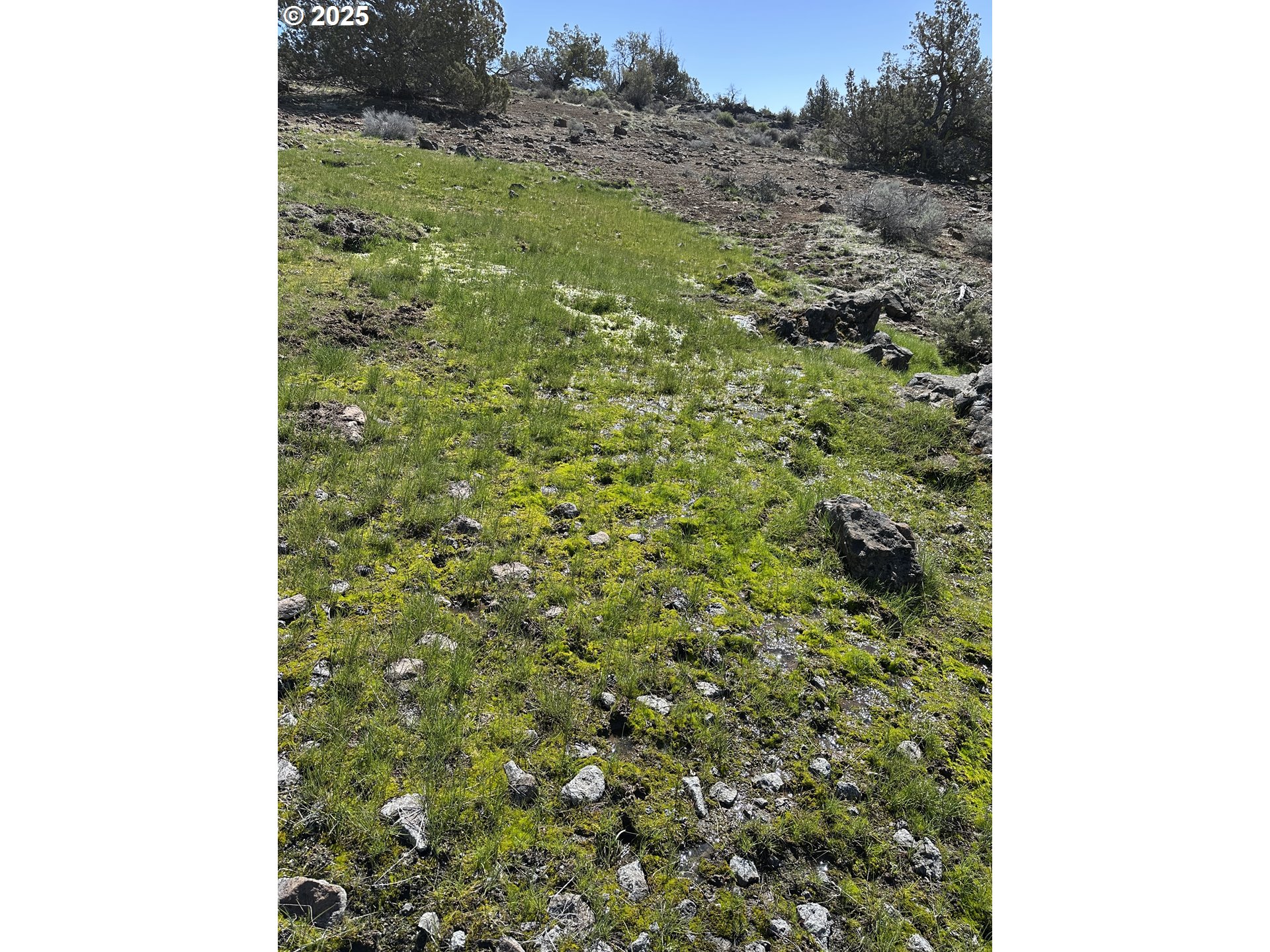 Cyhoya Way Lakeview, OR 97630 - Photo 34 of 36 a view of a yard