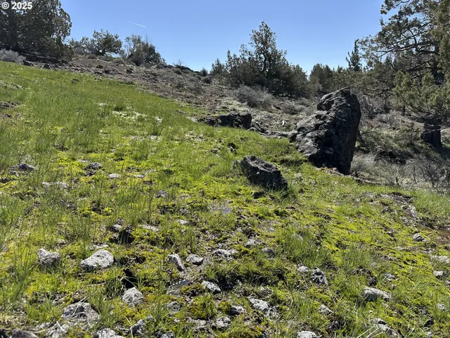 $165,000 | Cyhoya Way, Lakeview, OR 97630