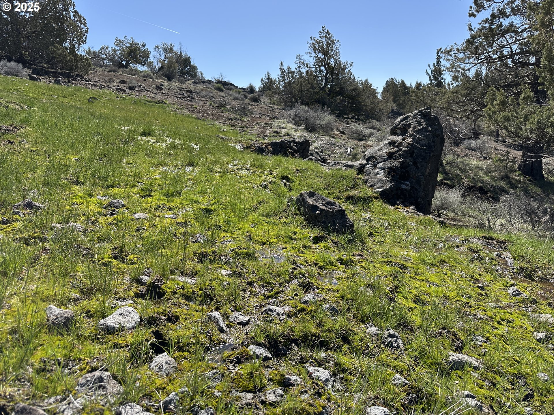 Cyhoya Way Lakeview, OR 97630 - Photo 35 of 36 a view of a bunch of trees and bushes