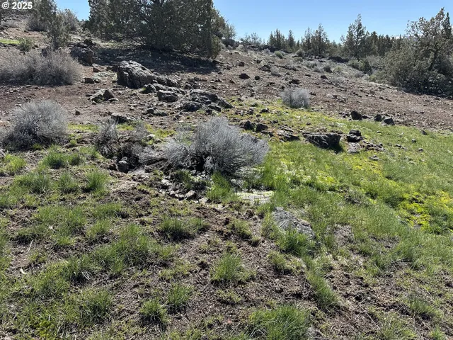 $165,000 | Cyhoya Way, Lakeview, OR 97630