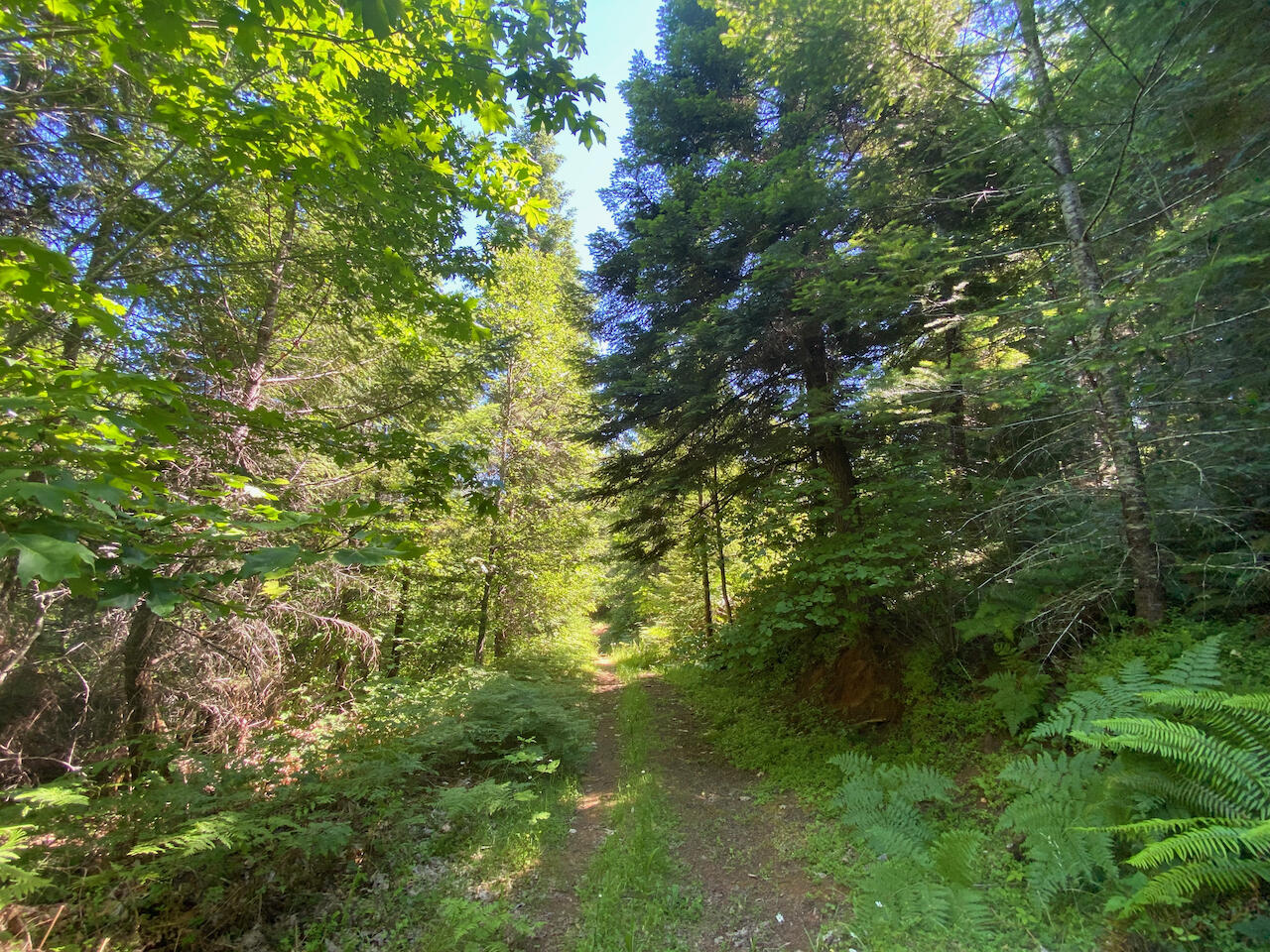 322 Beecher Road Wolf Creek, OR 97497 - Photo 11 of 47 322 Beecher Rd