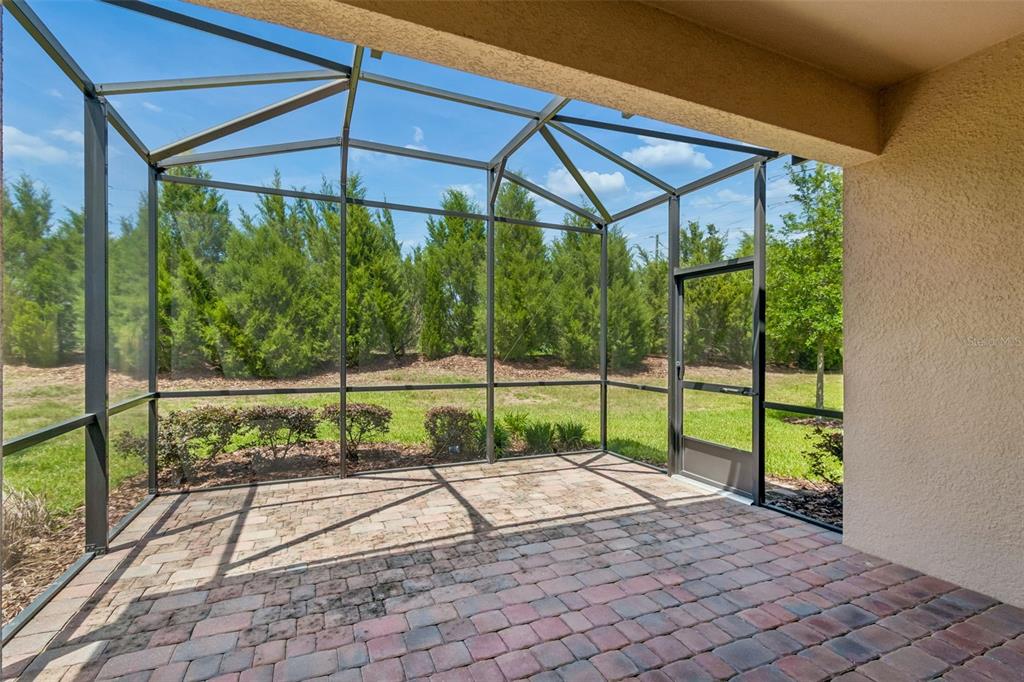 2159 Palm Tree Drive Kissimmee, FL 34759 - Photo 27 of 50