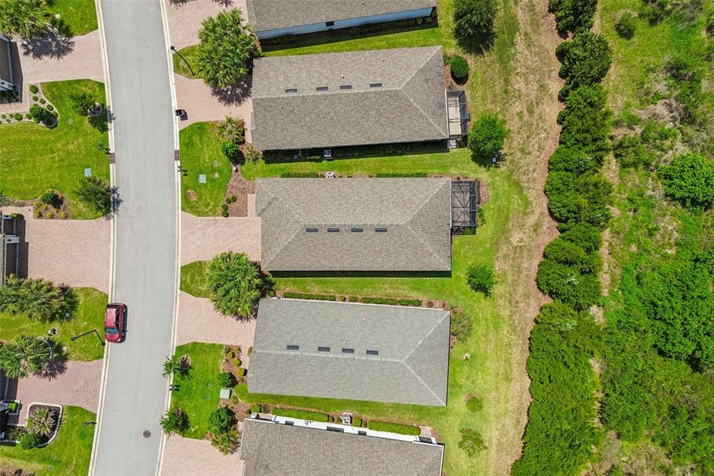 2159 Palm Tree Drive Kissimmee, FL 34759 - Photo 35 of 50