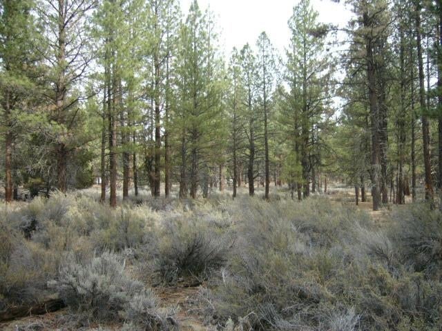 4.29 Acres Antelope Road Macdoel, CA 96058 - Photo 11 of 14 Gallery Image 11