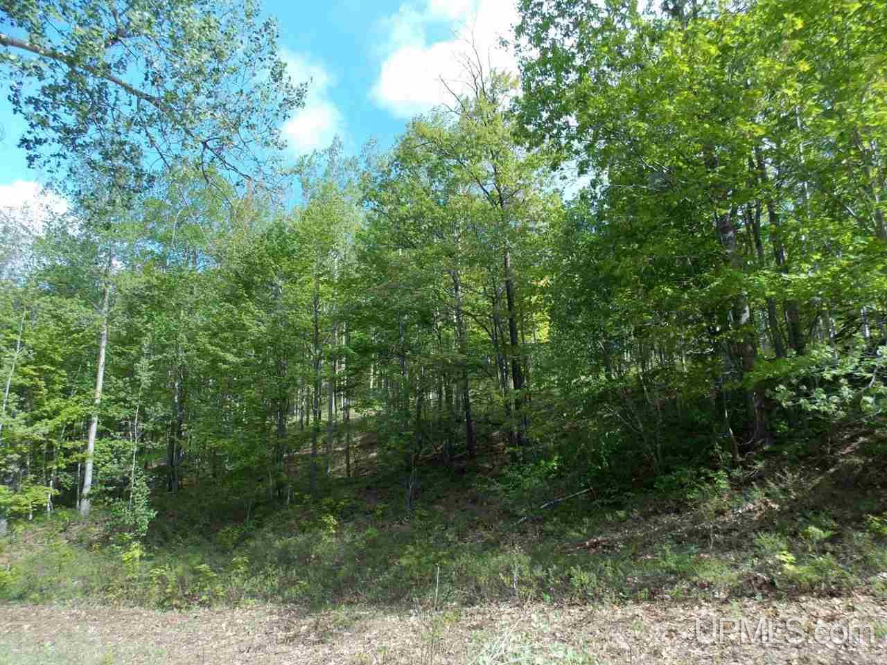 Tbd Kelly Lake Road Baraga, MI 49908 - Photo 3 of 6 Gallery Image 3