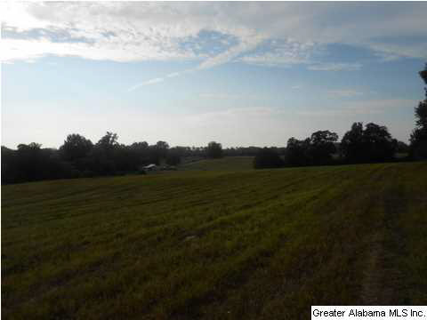 1400 Wilson Chapel Road, Unit 28 ACRES Oneonta, AL 35121 - Photo 2 of 19