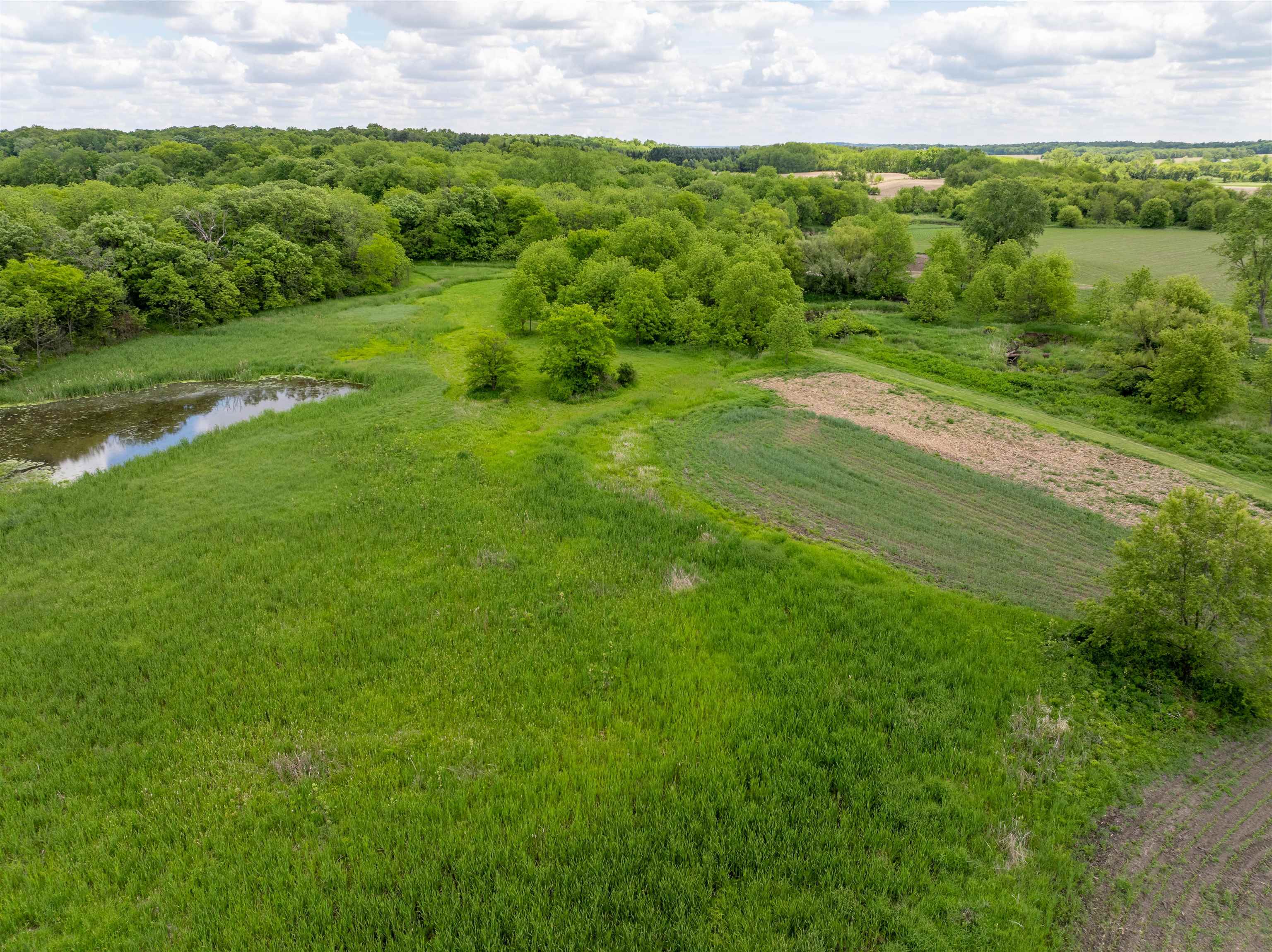 10385 North Rock City Road Leaf River, IL 61047 - Photo 14 of 99 a view of a green field with lots of green space