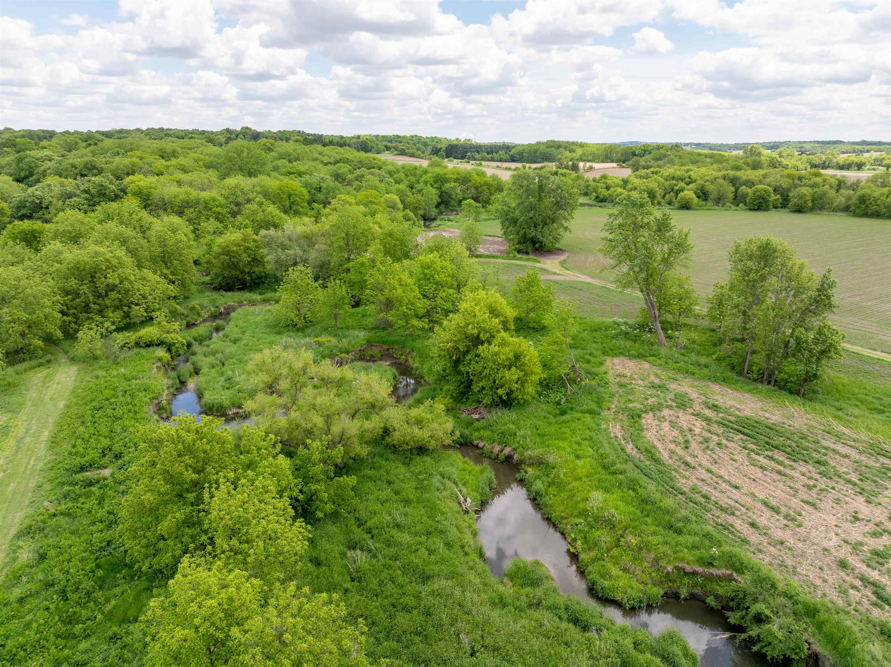 10385 North Rock City Road Leaf River, IL 61047 - Photo 15 of 99 a view of a lush green forest with lots of trees